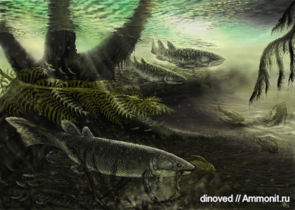 девон, Devonian, реконструкция, палеоарт, Dipterus