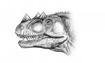 голова цератозавра