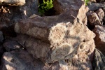Строматолиты из окрестностей деревни Мулдакаево