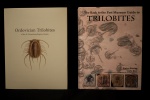 Энциклопедии по трилобитам