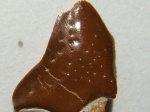 Ромбическая космоидная чешуя кистеперой рыбы
