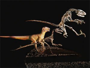 Каннибализм у дейнонихозавров?