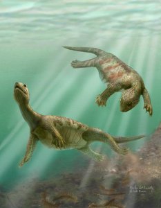 Черепахи могли произойти от водных рептилий?
