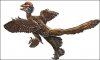 В Китае обнаружен еще один "четырехкрылый" динозавр