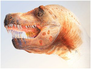 Тираннозавр болеет трихомонозом