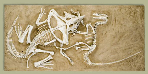 Реконструкция скелетов битвы динозавров