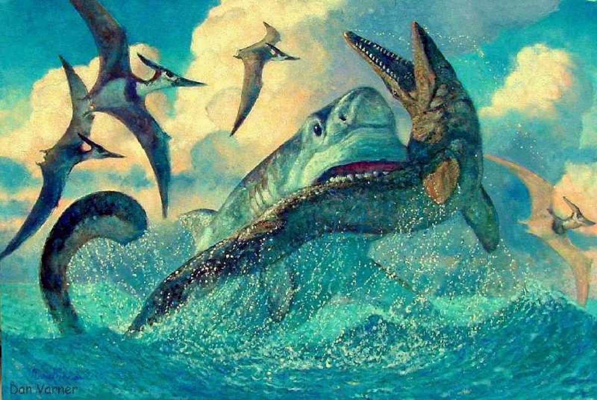 Кархарадон. Древние акулы МЕГАЛОДОН. Динозавры морские Мозазавр. Мозазавры мелового периода. Акула МЕГАЛОДОН против МОЗАЗАВРА.