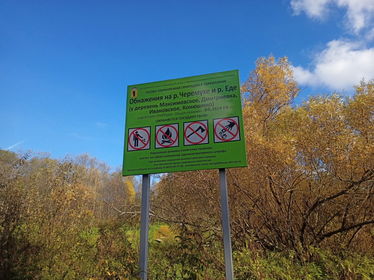 рыбинск река черемуха
