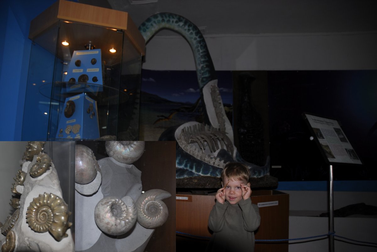 Ундоровский палеонтологический музей