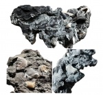 Окаменелое дерево с фрагментами белемнита Окаменелое дерево с фрагментами белемнита