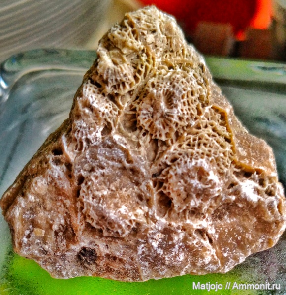 Находки на реке Шмелёвке