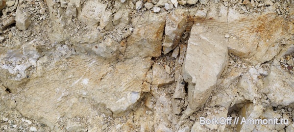 мел, отпечатки, Гродно