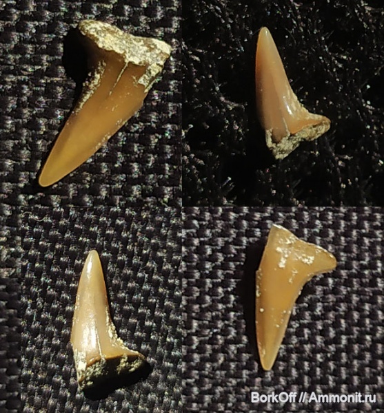 мел, зубы, хотиново