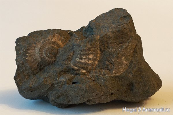 Электростальский карьер