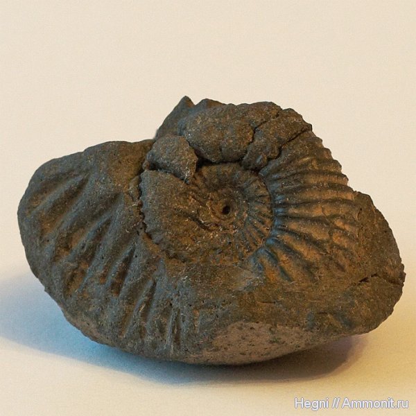 Электростальский карьер