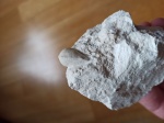 Конокардиум из Пирочей
