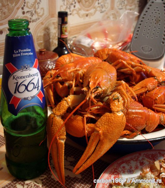 раки, кайнозой