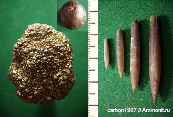 белемниты, мел, Cretaceous, belemnites