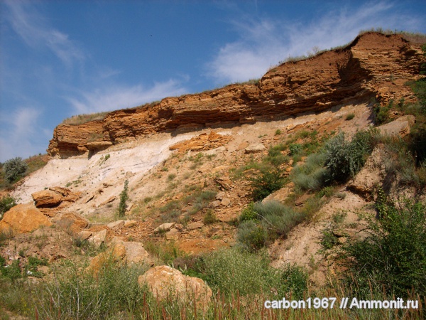 неоген, ракушечник
