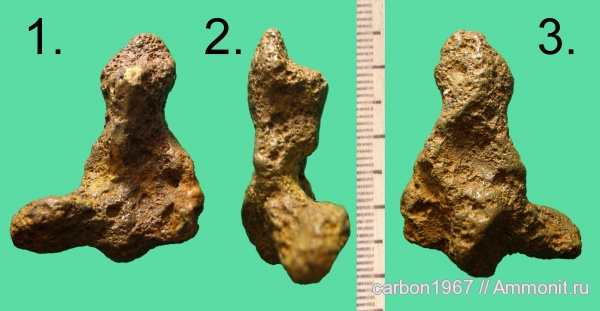 мел, палеоген, позвоночные, Cretaceous