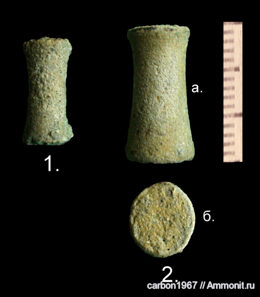 динозавры, мел, позвоночные, морские рептилии, нижний мел, берриас, Berriasian, Cretaceous, Lower Cretaceous, элемент ласта морской рептилии