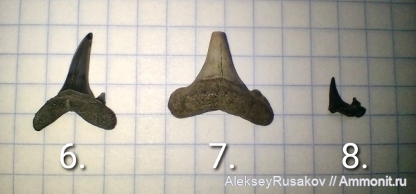 Курганская область