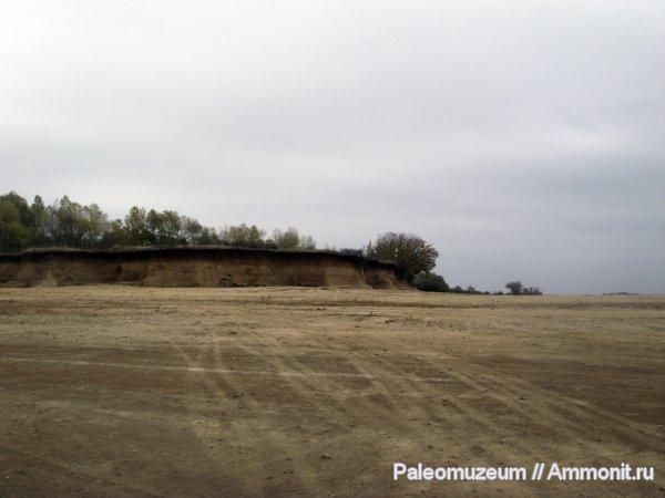 Шкала времени