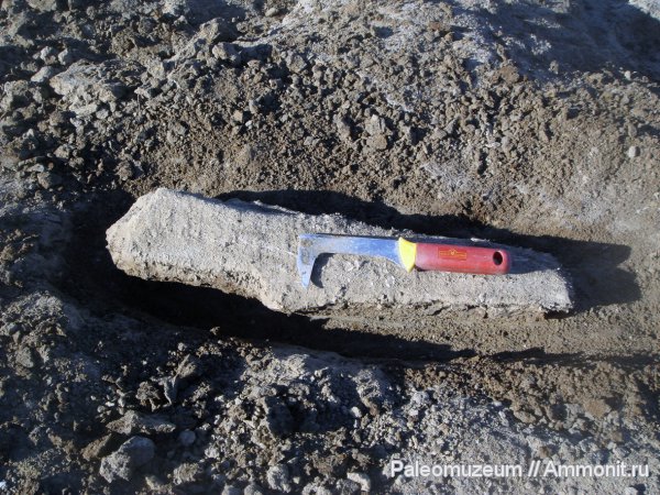 плейстоцен, четвертичный период, Адыгея, южные слоны