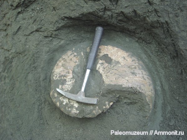 мел, Адыгея, Cretaceous