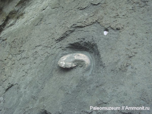 мел, Адыгея, Cretaceous