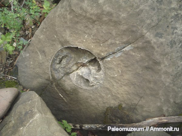 мел, Адыгея, Cretaceous