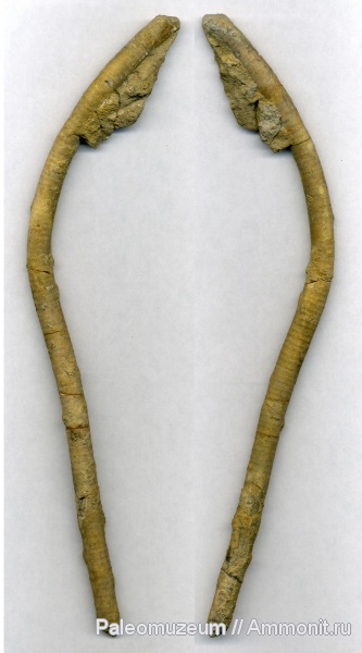 юра, Адыгея, р. Белая, Jurassic