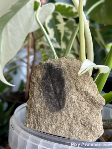 мои находки