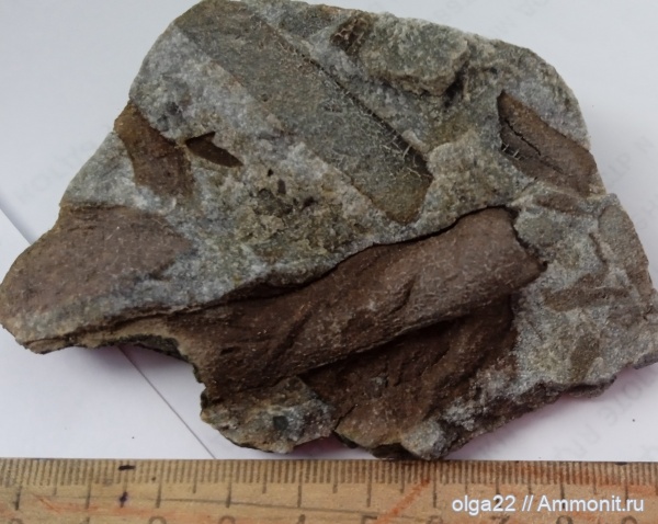 Луганская область