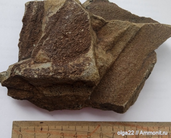 Мои находки.