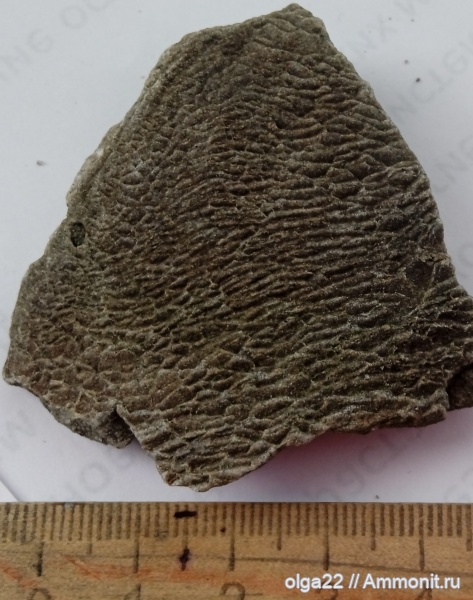 Луганская область