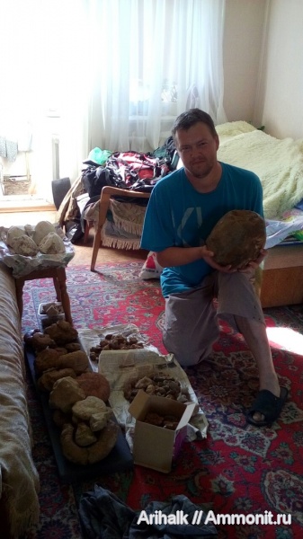 аммониты, наутилусы, Крым, Научный