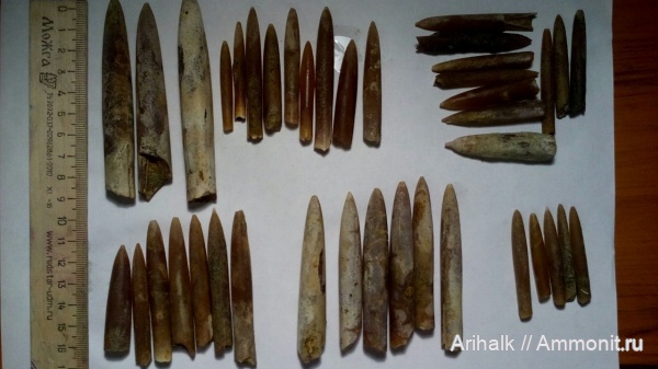 белемниты, Крым