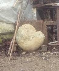 аммониты, альб, Desmoceratidae, верхний альб