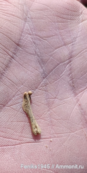 Малый пролом