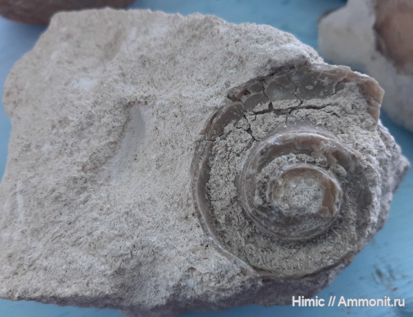 Меловой карьер