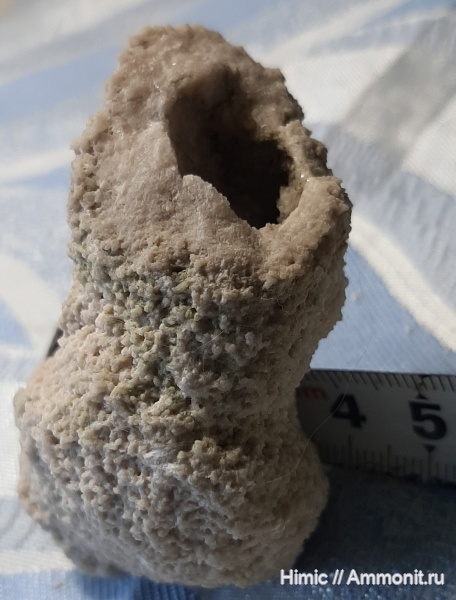 Владимирская область