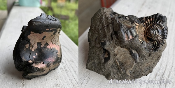 Находки с волжских берегов