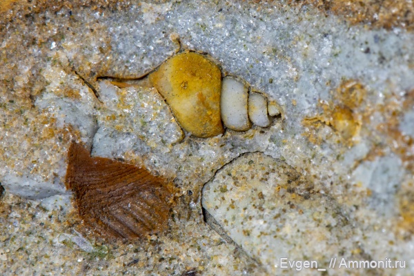 Саратовская область