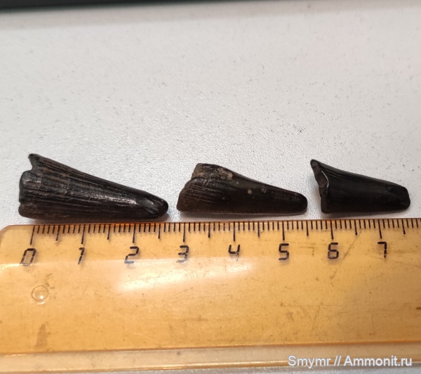 Находки в речном песке