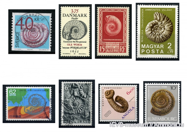 финские марки золота. немецкая марка. 5 рублей 1919 года.