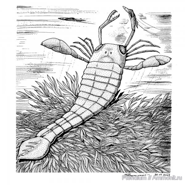 девон, ракоскорпионы, Devonian, реконструкция, Pterygotus