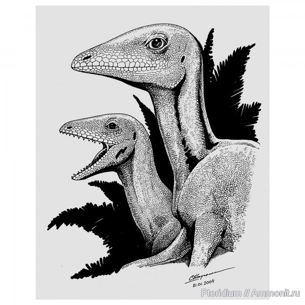динозавры, юра, реконструкция, Compsognathus, Jurassic