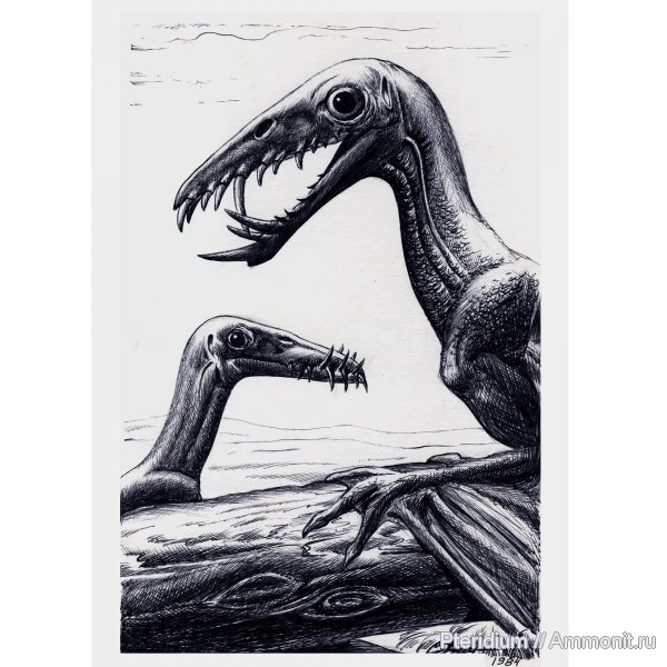 птерозавры, нижняя юра, Dorygnathus, Lower Jurassic