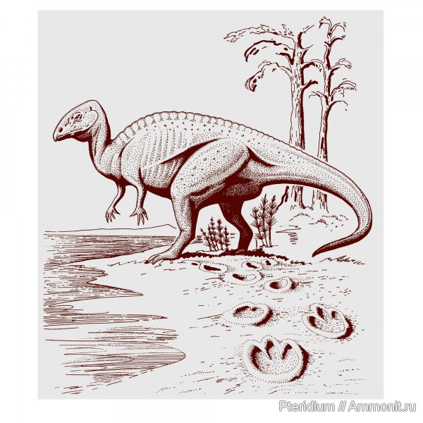 ранний мел, Кавказ, игуанодон, Iguanodon